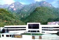 原木霊芝原料を生産する中国の栽培基地