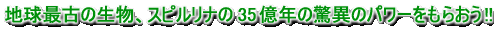 �n���ŌÂ̐����A�X�s�����i��35���N�̋��ق̃p���[�����炨��