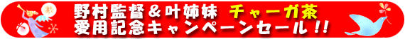 �쑺�ē����o���@���p�L�O�L�����y�[���Z�[���I