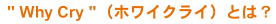 " Why Cry "�i�z���C�N���C�j�Ƃ́H
